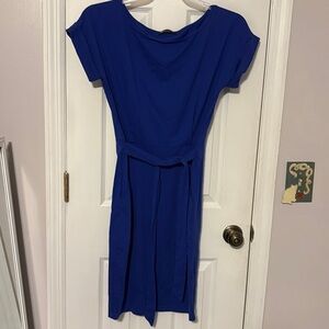 Pretty garden Elegant Blue Dress with Belt